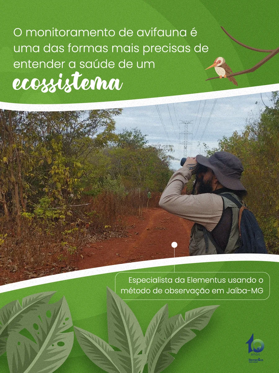 Post da Elementus sobre monitoramento de avifauna