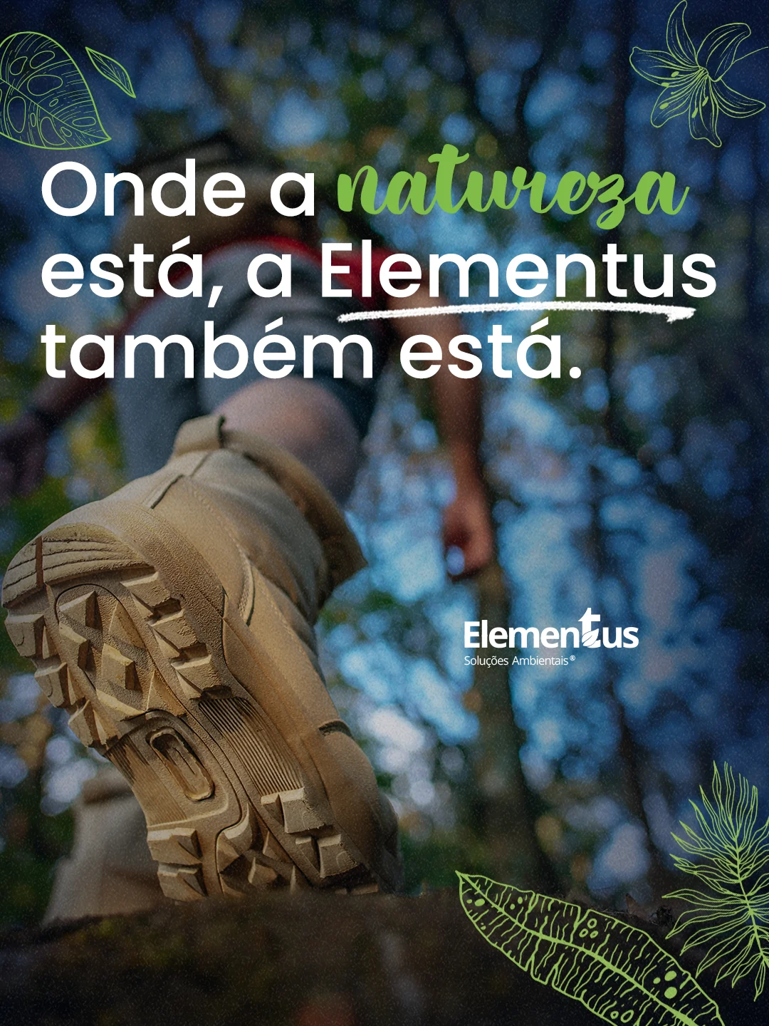 Post institucional da Elementus sobre presença em campo e natureza